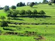 campagne d'Aiguebelette