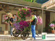 Nances, village fleuri 4 fleurs