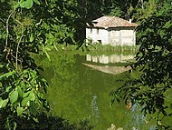 Le Pin, étangs du Moulin