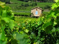 cabanon du Vignoble de Chatillon en Diois