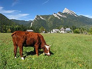 paysage de Chartreuse