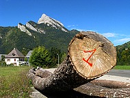 paysage de Chartreuse