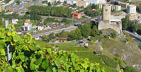 Martigny, un coteau de vignobles