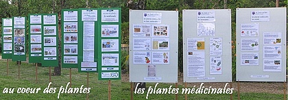 richesses des plantes