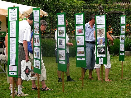 exposition Au Coeur des plantes