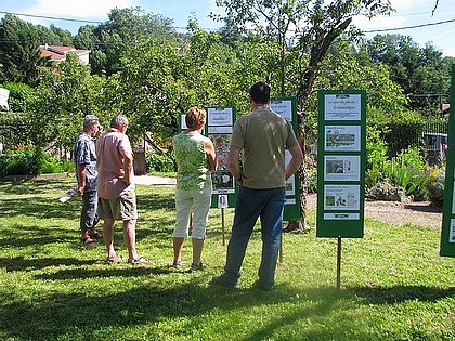 exposition Au Coeur des plantes