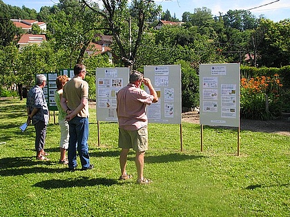 expo Au Jardin de Flore: les plantes mdicinales