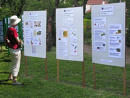 expo Au Jardin de Flore: les plantes mdicinales