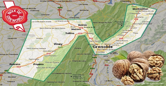 la noix de Grenoble, entre Chartreuse et Vercors, façonne le paysage depuis des millénaires