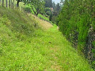 sentier d'accs prairies est.