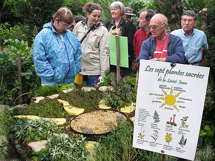 les herbes sacres de la St Jean.