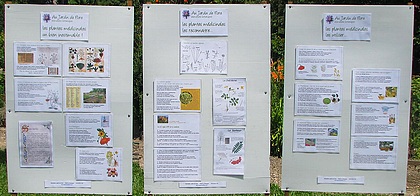 avec Au Jardin de Flore, les plantes mdicinales.