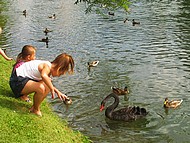 au parc du Domaine de Vizille