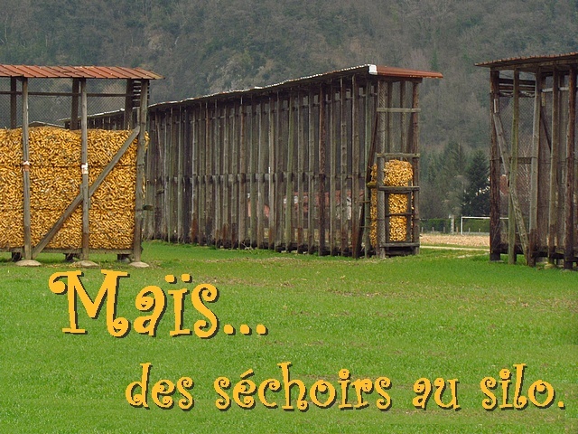 mas des schoirs au silo