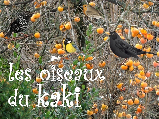 ds le premier gel les oiseaux se bousculent dans le kaki, les fruits sont mrs et le spectacle toute la journe !