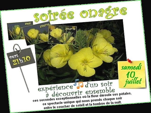 Nous avons propos aux voisins, aux amis, aux passionns,une exprience d'un soir,  dcouvrir ensemble. 