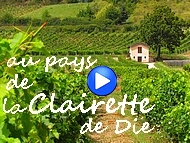 Ainsi naquit la Clairette de Die !