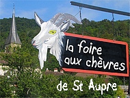 le secret de l'ancestrale foire aux chvres de St Aupre