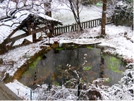 au Jardin du Gte.