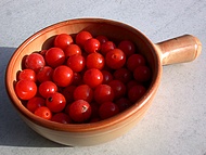 tomate cerises au Jardin de la Source