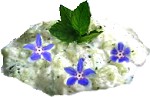 tzatziki  la bourrache