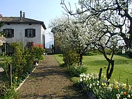 le jardin, au dbut du 20e sicle cette alle tait une tonnelle de roses.