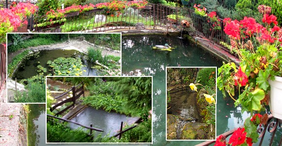 les bassins de La Source