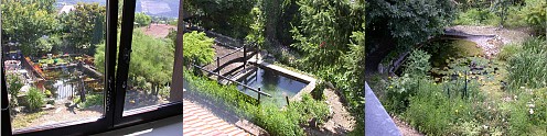 Gite La Source les bassins