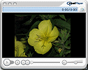 magie de l'onagre en vid�o