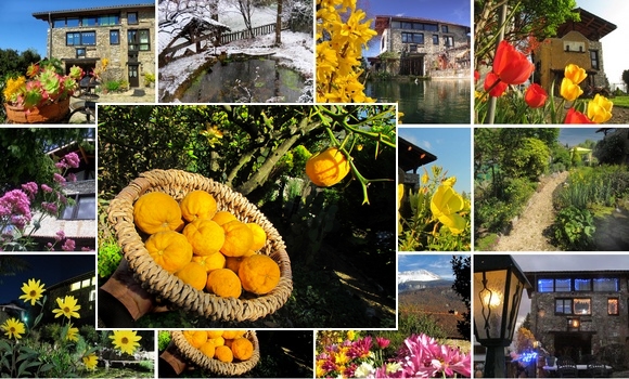 au fil des mois au Jardin du gte.