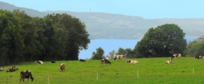 Paladru, les Troix Croix. Panorama.