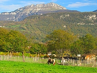 Gte La Source, la campagne  quelques mtres!