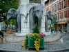 appelée  les Éléphants ou surnommée " les quatre sans culs ", emblème de la ville.