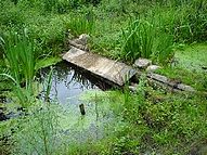 Tullins, boucle des Moles et marais des Goureux