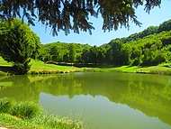 un des étangs du Thivoley