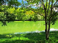 Etang de Troussatire. Tullins Isre