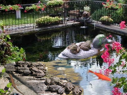 le solarium des batraciens !