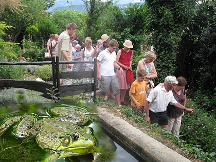 la voisine du bassin carr