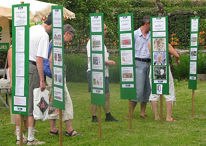 au coeur des plantes, le jardin de La Source