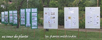 au coeur des plantes, et les plantes mdicinales.