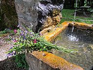 Coulmes, la fontaine de Ptouze