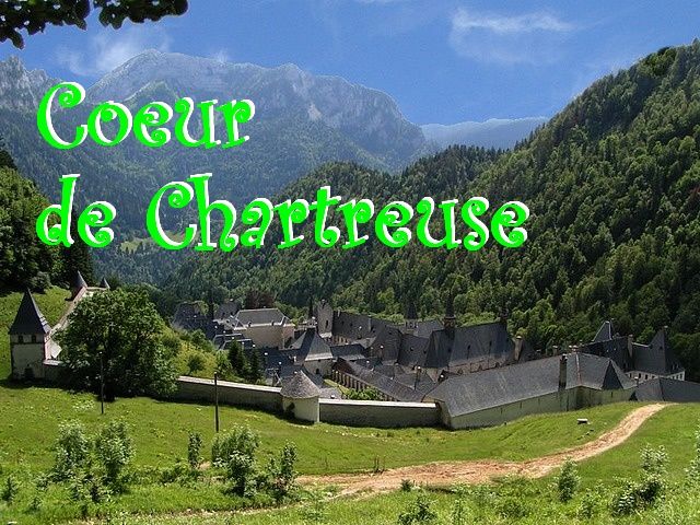 une richesse naturelle, humaine et patrimoniale unique. la Chartreuse c’est la nature reste intacte  deux pas du gte.