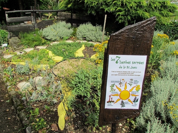 herbes sacres de la St Jean au jardin du Gte La Source